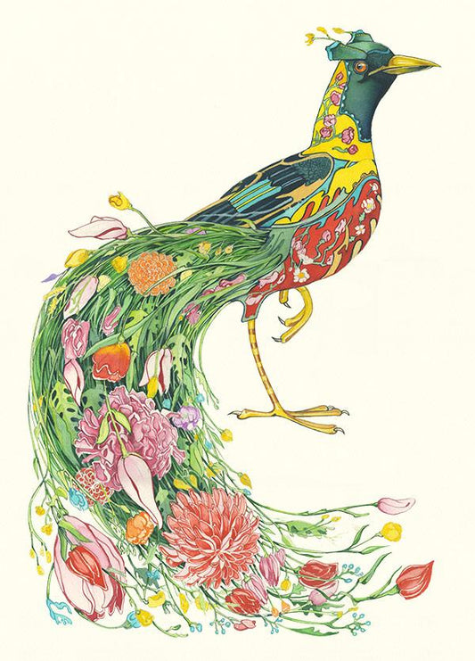 Bird of Paradise Card - A colourful Peacock