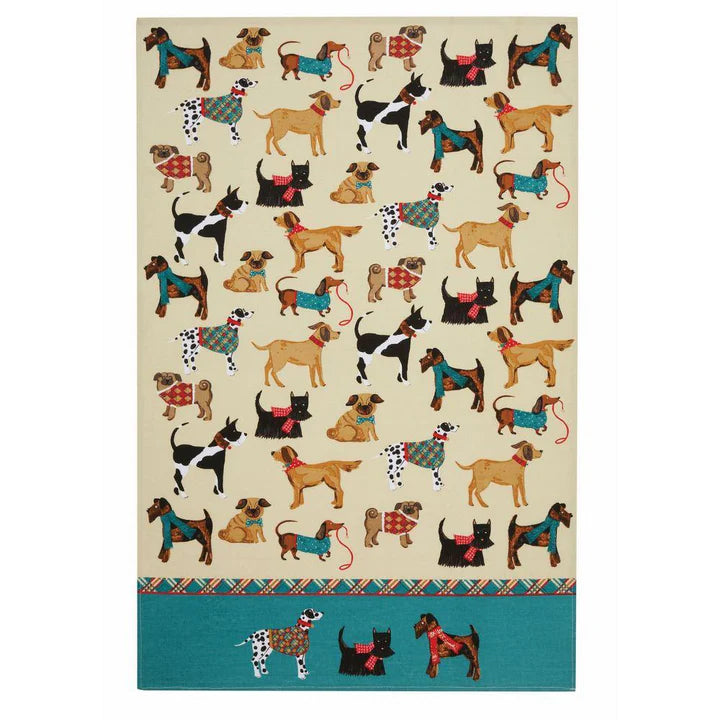Ulster Weavers Cotton Tea Towel - Hound Dog (100% Cotton, Turquoise) - dogs wearing country checks - woolly scarfs - tartans