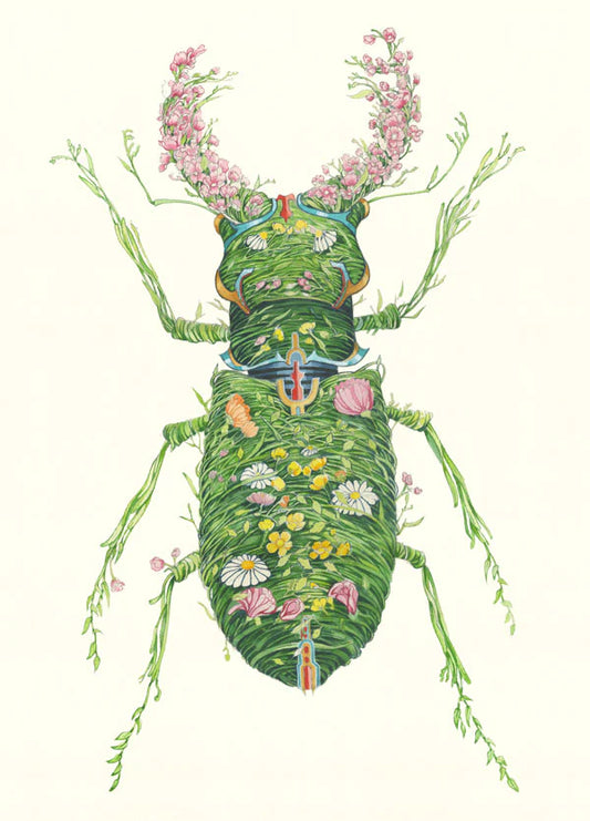 Stag Beetle Card
